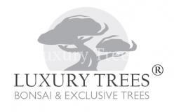 Gartengestaltung Tirol LUXURY TREES herrlicher Garten THOMAS ORTNER Bezirk Kitzbühel
