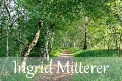 INGRID MITTERER Humanenergetikerin Scheffau in Tirol