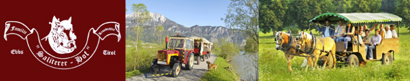 Pferdekutschenfahrt Tirol - Wolfgang Kronbichler Salitererhof - Bummelzug Ebbs