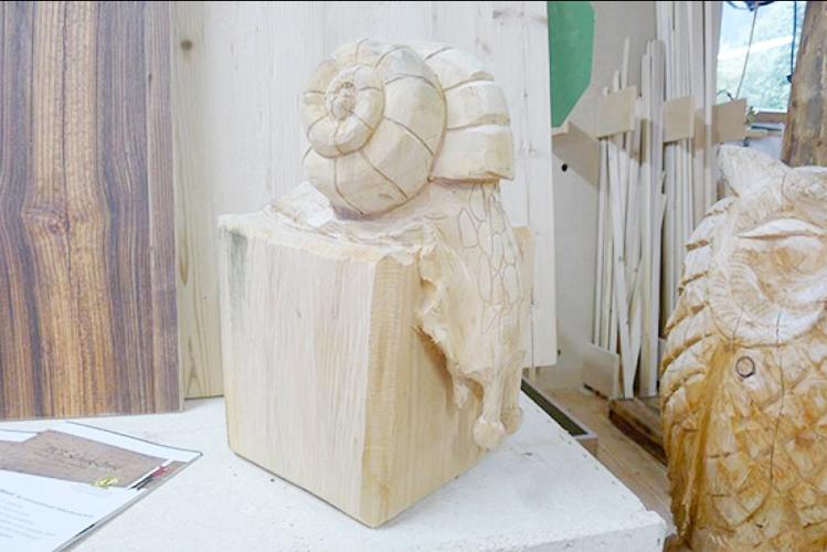 Schnecke | Offlineshop | PINEIDER MARKUS Holzskulpturen Schnecke | Offlineshop | PINEIDER MARKUS Holzskulpturen