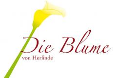 Die Blume von Herlinde in Westendorf im Brixental - Blumengeschäft Floristik Dekorationen Geschenke / Bezirk Kitzbühel