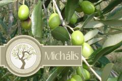 Oliven Olivenöl MICHALIS Griechische Spezialitäten Pesto Tee Honig Oregano Michael Huber Hopfgarten Tirol