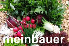 MEIN BAUER Klaus und Barbara Zeindl - Gemüsebauer Obstbauer Tirol