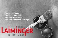 MALEREI LAIMINGER RADFELD Kompetenz in Sachen Farbe Radfeld Maler Tirol