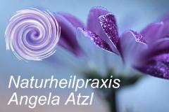 Naturheilpraxis Tirol für Kinder und Erwachsene NATURHEILPRAXIS ANGELA ATZL Cranio Sakral Therapie Homöopathie Hormonberatung