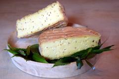 Bio Käse aus Rohmilch mit Kümmel