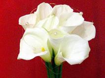 HOCHZEIT Floristikideen mit weißer CALLA