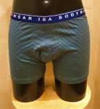 ISA Bodywear Panty dunkelgrün quergestreift