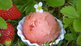 Bauern Eis - beste Qualität aus der Region