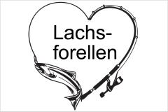 Lachsforellen aus der Region