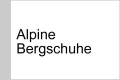 Alpine Bergschuhe