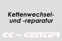 Kettensatzwechsel / Kettensatzreparatur