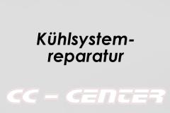 Kühlsystemreparatur (z.B. Kühler und Schläuche)