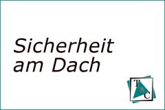 Fachgerechte Montage von Absturzsicherungen