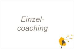 Einzelcoaching