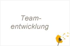 Teamentwicklung
