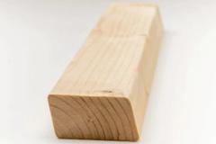 Rhombus heimische Fichte