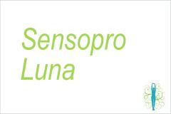 Training am SENSOPRO Luna - Trampolintraining