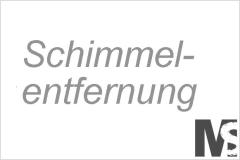 Schimmelentfernung & Prävention