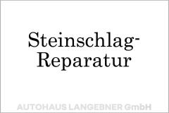 Steinschlag-Reparatur