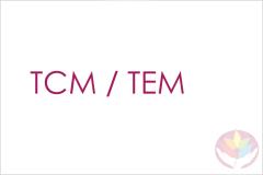 Die Verbindung von Traditioneller Chinesischer Medizin (TCM) mit Traditioneller Europäischer Medizin (TEM) und Kräuterkunde