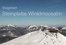 Skigebiet Steinplatte-Winklmoosalm .....