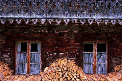 Fenster