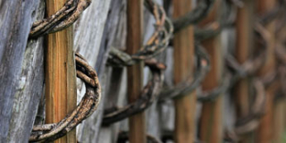 Traditionelle Zäune Holzhandwerk Mmayr Manfred Mayr Kirchbichl